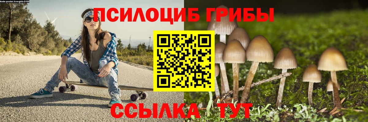 Галлюциногенные грибы Psilocybine cubensis  Вход с VPN  Октябрьский  Псилоцибиновые грибы прущие грибы 