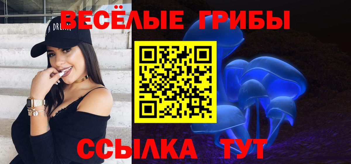 Псилоцибиновые грибы мицелий Октябрьский